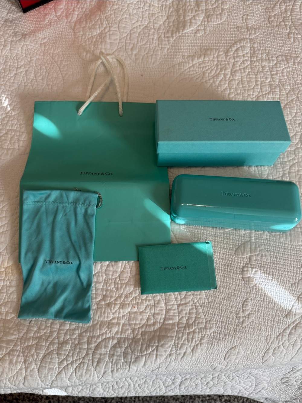 Tiffany & Co. Signature Blue Jewelry Case, Pouch & Box, authentication and bag